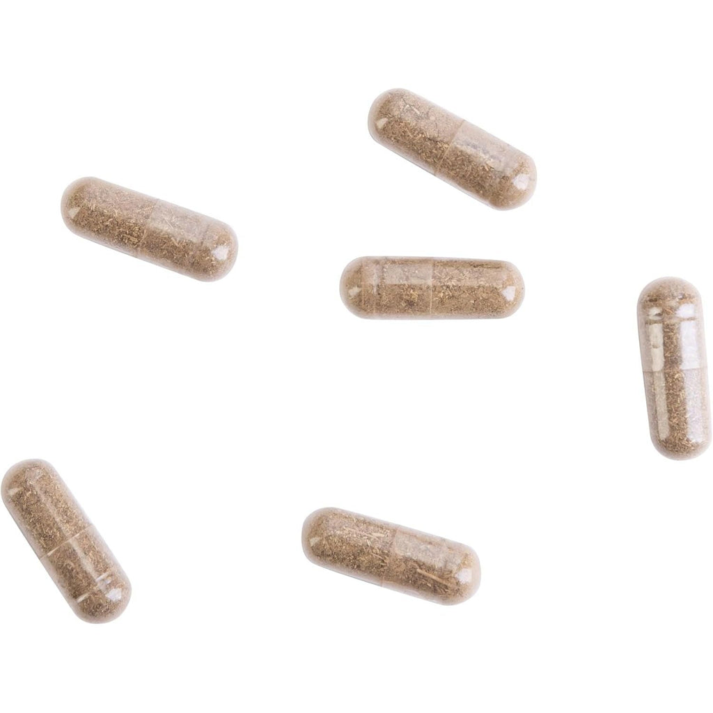 Buy now Kroeger Herb Products, Wormwood Herb, Black Walnut, Clove, Quassia, Worm Wood Detox Cleanse - Vegetarian Capsules, Non-GMO, Gluten Free, No Preservatives or Fillers - 100 Capsules, Made in USA at indiglob india