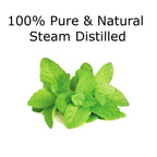 Buy now Peppermint Essential Oil 4 oz. with Huge Glass Bottle, Glass Dropper, and Sprayer. Detailed User's Guide E-Book. Skin Care, Garden Care, and Hair Care. at indiglob india