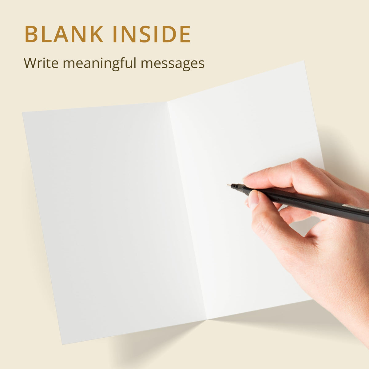 Graphique Watercolor Greeting Cards | 20 Blank Notes, Envelopes, Boxed Set