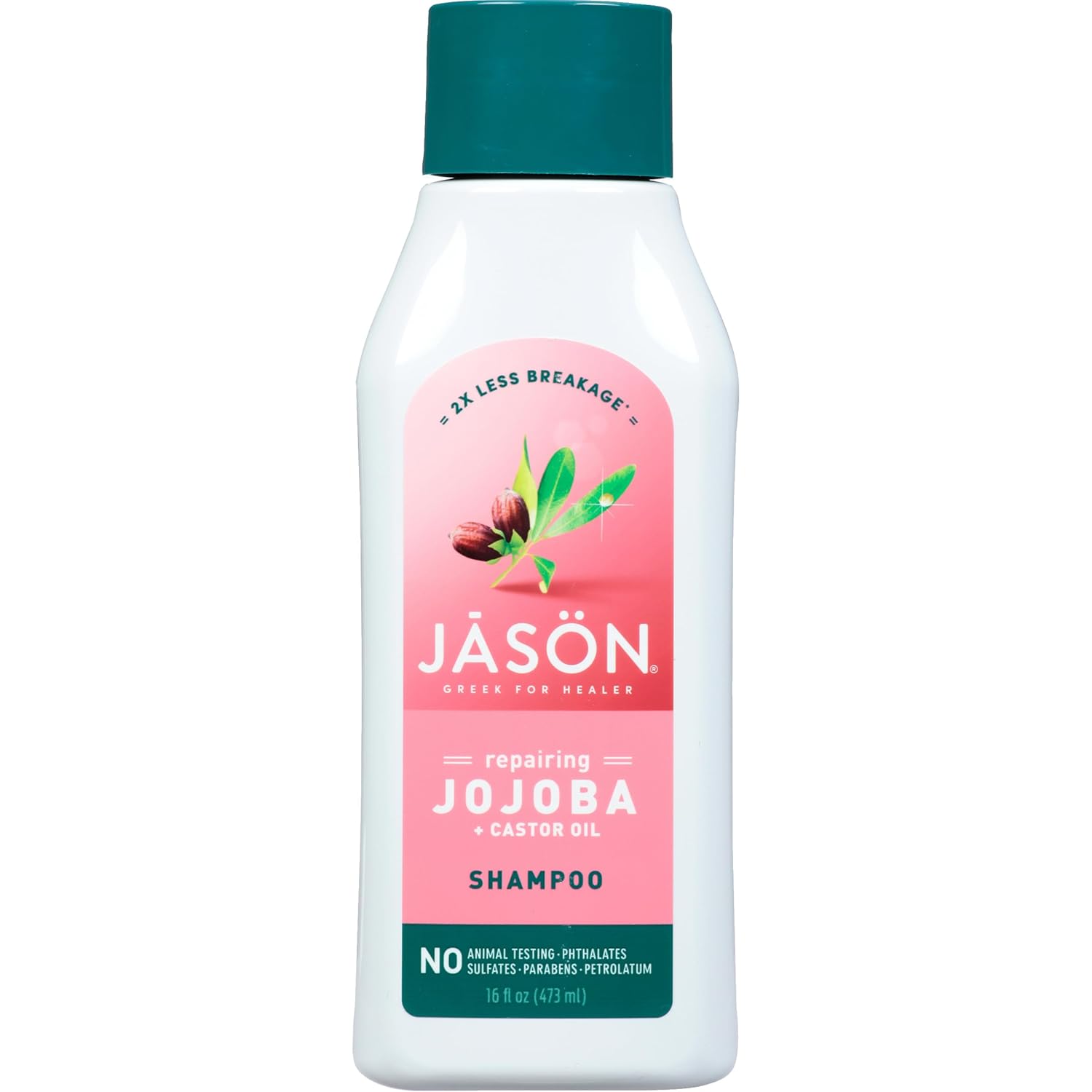 Buy now Jason Restorative Biotin Shampoo, 16 oz 16 Fl Oz (Pack of 1) Jojoba at indiglob india