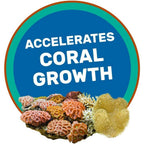 Buy now Hikari Coralific Delite Coral Food, 1.23 oz (35g) at indiglob india
