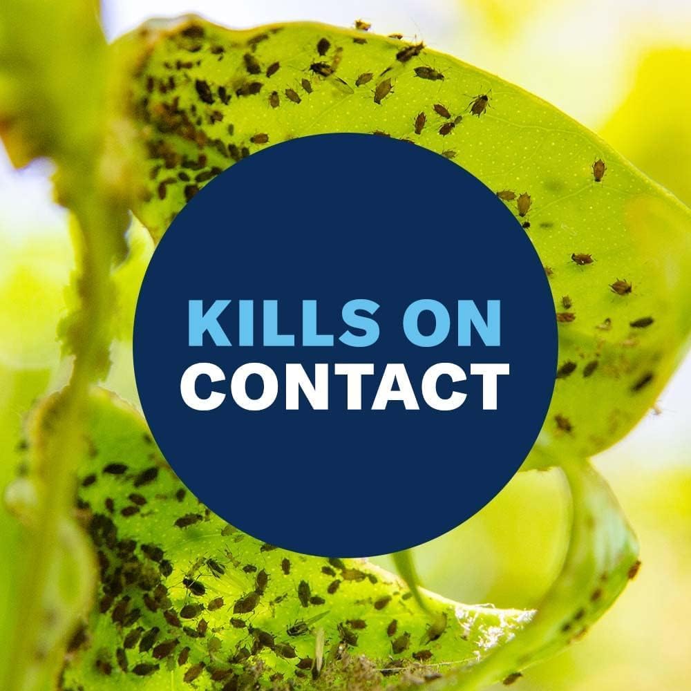 BioAdvanced Houseplant Insect and Mite Control Spray - 24 fl oz Bottle