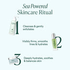 OSEA Seabiotic® Water Cream, Weightless Face Moisturizer, 1.6 oz