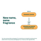 Buy now ATTITUDE Liquid Hand Soap, EWG Verified, Plant and Mineral-Based, Vegan Personal Care Products, Orange Blossom & Eucalyptus Scent, 16 Fl Oz at indiglob india