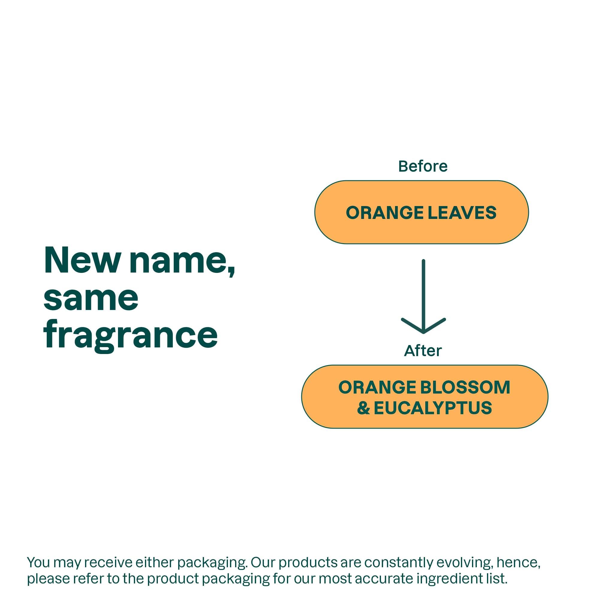 Buy now ATTITUDE Liquid Hand Soap, EWG Verified, Plant and Mineral-Based, Vegan Personal Care Products, Orange Blossom & Eucalyptus Scent, 16 Fl Oz at indiglob india