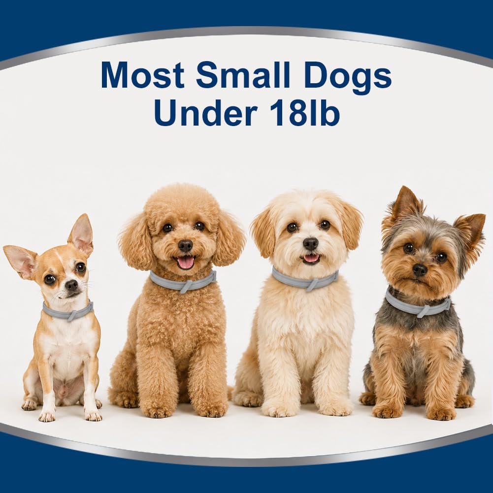 Flea Collar for Dogs Small, Flea & Tick Collar for Small Dogs 4 Pack