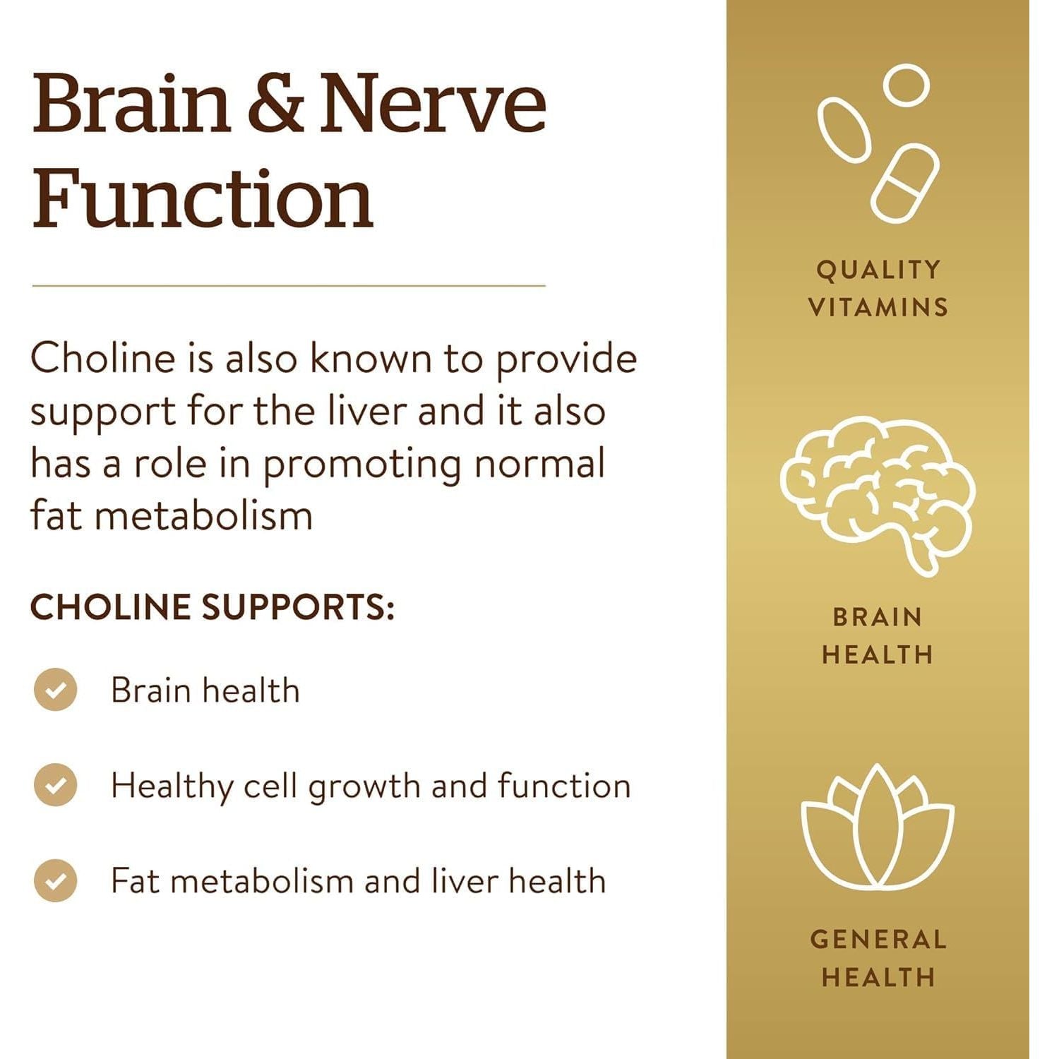 Buy now Solgar Choline 350 mg, 100 Vegetable Capsules - Supports Healthy Brain & Cellular Function - Vegan, Gluten Free, Dairy Free, Kosher - 100 Servings at indiglob india