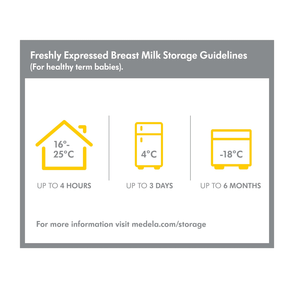 Medela Breastmilk Collection and Storage Bottles 8oz (250ml) - 2 Each