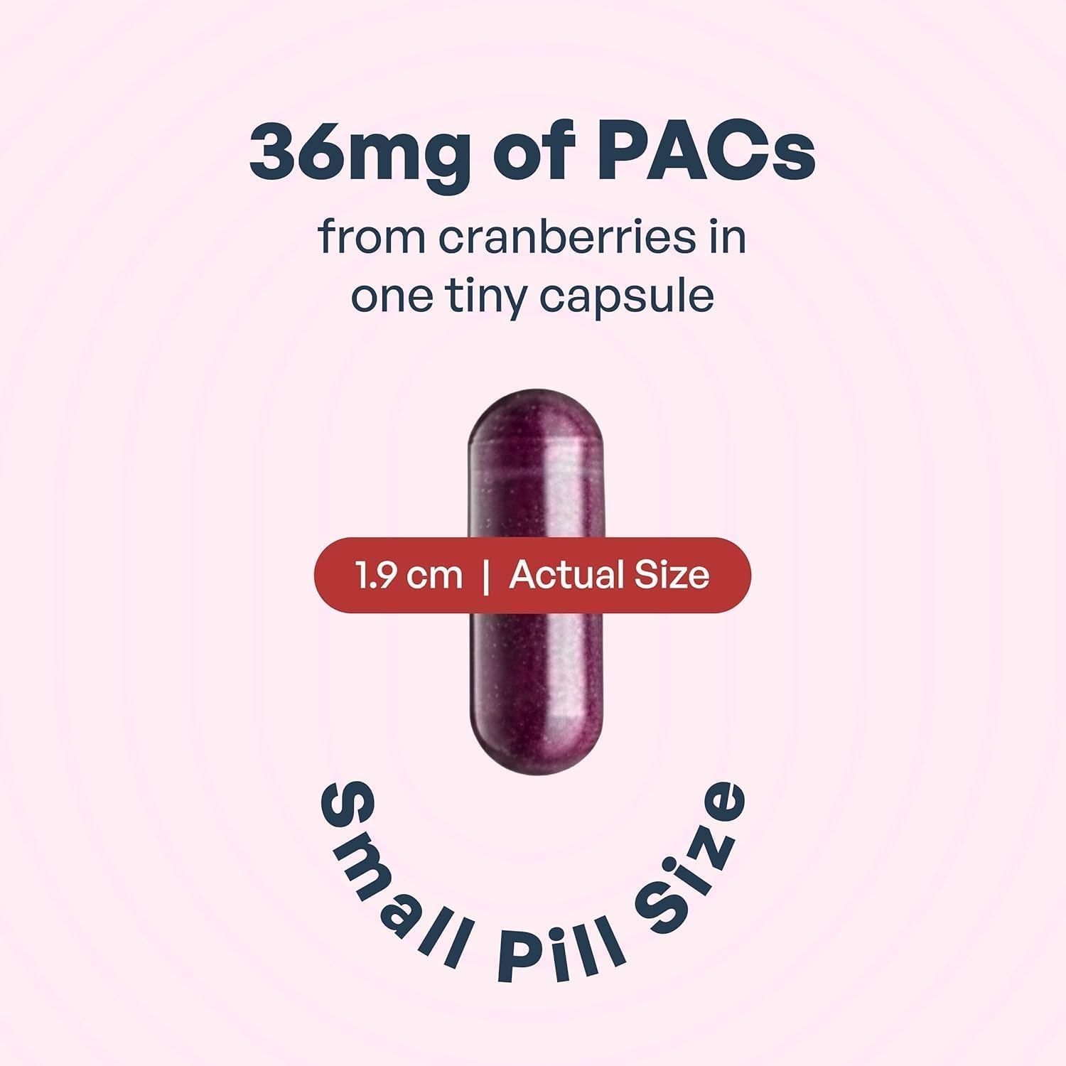 Szio+ Utiva Cranberry PACs 36 mg, Daily UTI Support for Women, 30 Capsules | Doctor-recommended UTI prevention with clinically studied cranberry extract for bladder health