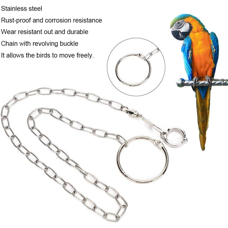 Buy now Rehomy Parrot Foot Chain, Stainless Steel Anti-bite Flying Training Anklet Ring Bird Harness for Parrots Macaw African Greys Parakeet Cockatoo Cockatiel Conure Lovebird at indiglob india