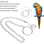 Buy now Rehomy Parrot Foot Chain, Stainless Steel Anti-bite Flying Training Anklet Ring Bird Harness for Parrots Macaw African Greys Parakeet Cockatoo Cockatiel Conure Lovebird at indiglob india