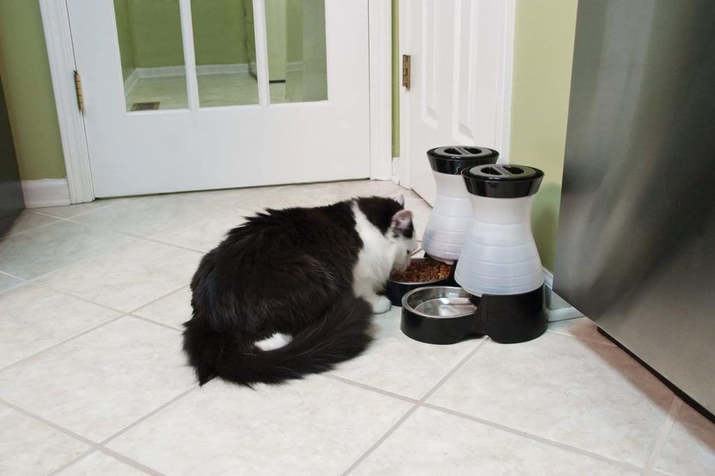 PetSafe Healthy Pet Water Station, 64 oz, Stainless Steel Bowl, Small