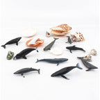 Buy now Mini Whale Shark Toy Set Small Sea Creatures Toys for Kids 2-4 Inch Mini Marine Animal Figures Cake Topper Girls Boys Toddlers Birthday Gift at indiglob india