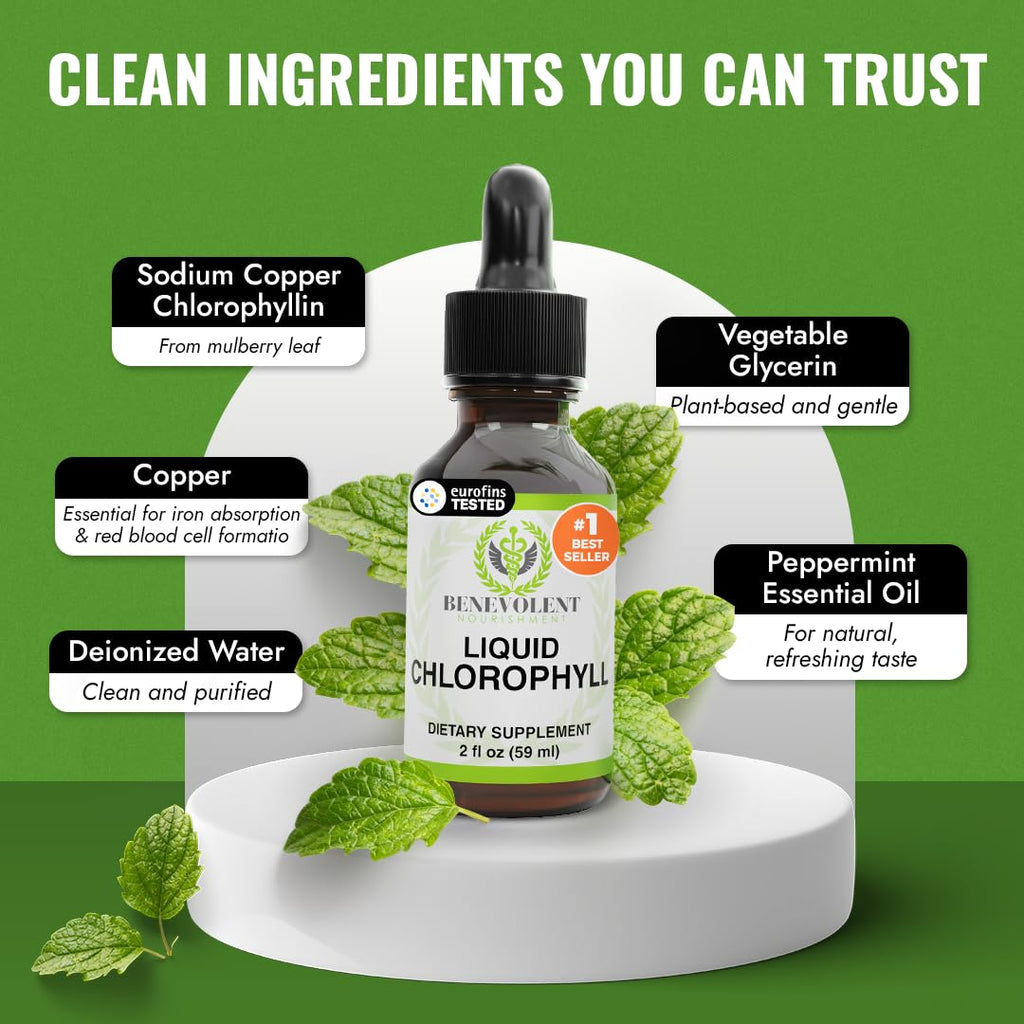 Benevolent Nourishment Chlorophyll Supplement, Detox & Immune Support, Internal Deodorizer, Liquid Drops | Highly Absorbable Supplement for Energy Support, Immune Wellness, Natural Cleansing, 4 Month Supply