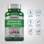 Piping Rock Echinacea Goldenseal Capsules | 120 Count