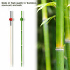 Buy now OOTSR 100 Pieces Cocktail Picks, 4.7 inch Red Fruit Toothpicks Sandwich Cocktail Picks for Wedding Party Appetizer Drink Martini Food Supplies Birthday Cake Party Snack Decorative at indiglob india