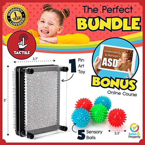 Buy now Autism & Prosperity Kids Highly-Tactile Stimming Alternative Bundle for Autistic Children â€“ ASD Child Boys Girls Teens - Calming Pin Art & Spiky Balls - Sensory Stimulation Toys Product Tool Item at indiglob india