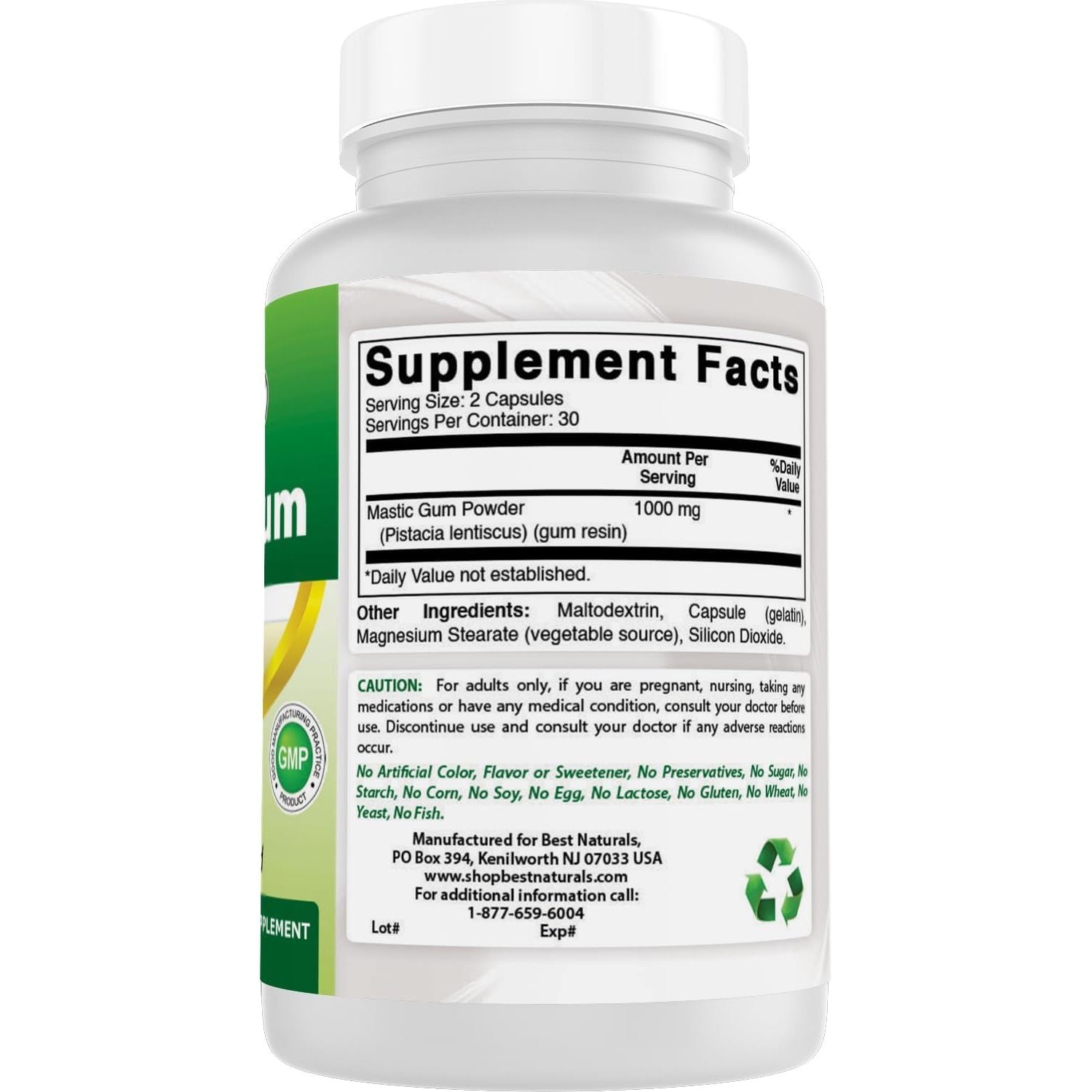 Buy now Best Naturals Mastic Gum 500 mg 60 Capsules at indiglob india