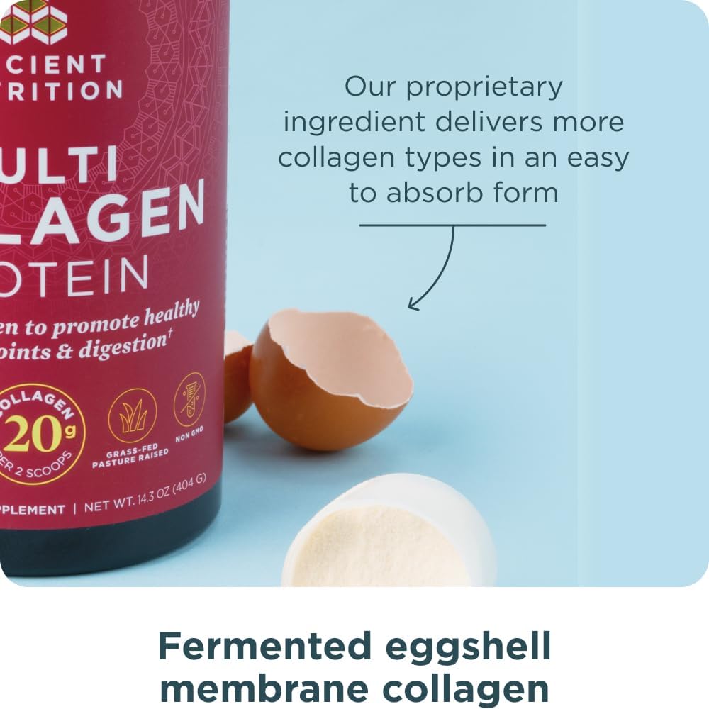 Buy now Ancient Nutrition Collagen Powder Protein with Probiotics, Unflavored Multi Collagen Protein with Vitamin C, 45 Servings, Hydrolyzed Collagen Peptides Supports Skin and Nails, Gut Health, 16oz at indiglob india