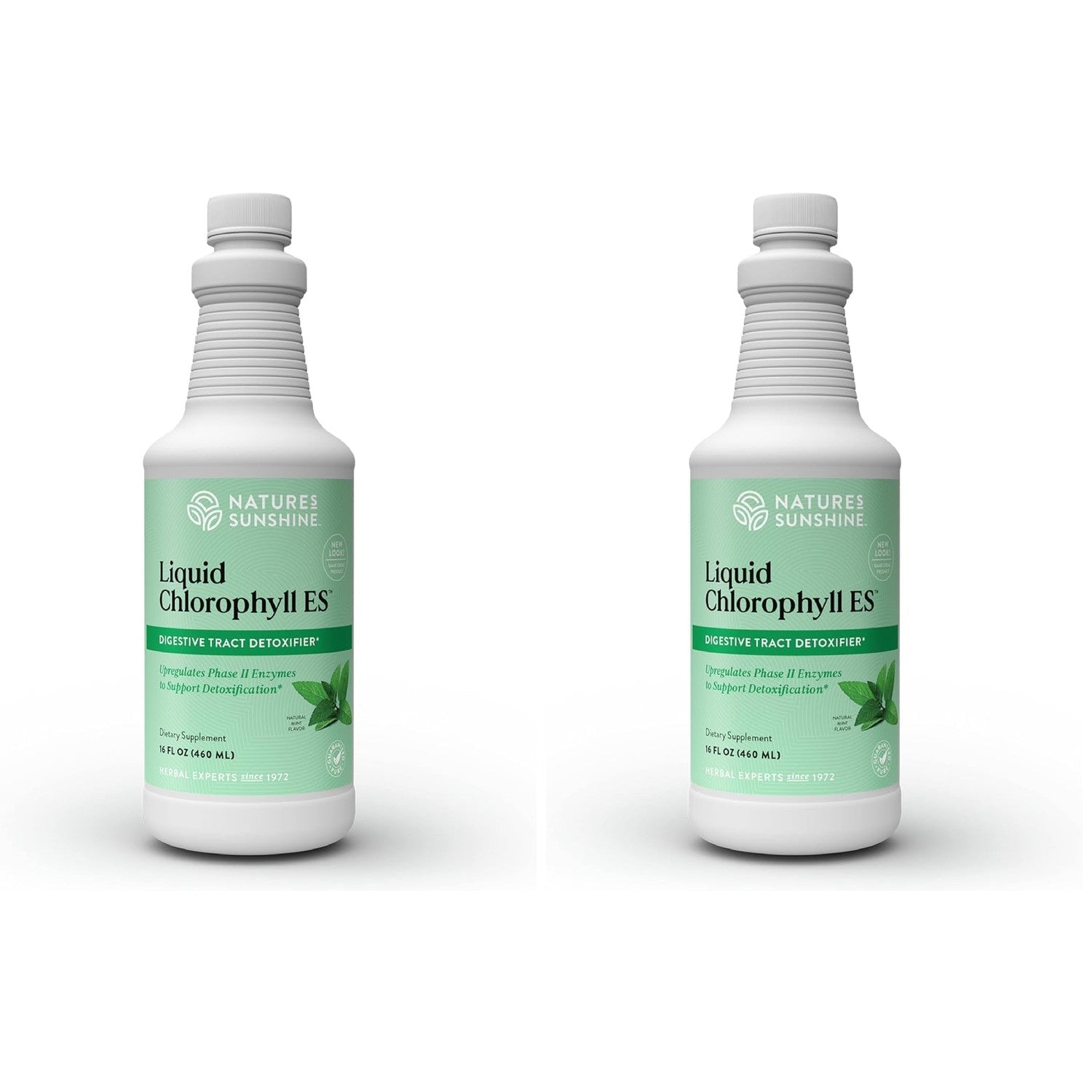 Nature's Sunshine Liquid Chlorophyll - Immunity Support, Detox & Cleanse, Chlorophyll Liquid Drops with Spearmint Oil, Natural Energy Boost, Internal Deodorant - 16 Fl Oz