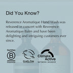 Aesop Reverence Aromatique Exfoliating Hand Wash | Exfoliating Hand Soap with Finely Milled Pumice | Gentle Cleanser & Skin-Smoothing Formula with Vetiver & Bergamot | 500mL / 16.9 oz (Pack of 5)