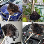 Buy now Feather Duster, Feather Dusters for Cleaning Ddzmz Fluffy Natural Genuine Ostrich Feathers with Wooden Handle Reusable Handheld Ostrich Feather Duster Cleaning Supplies, Gray and Brown(Length 16") at indiglob india