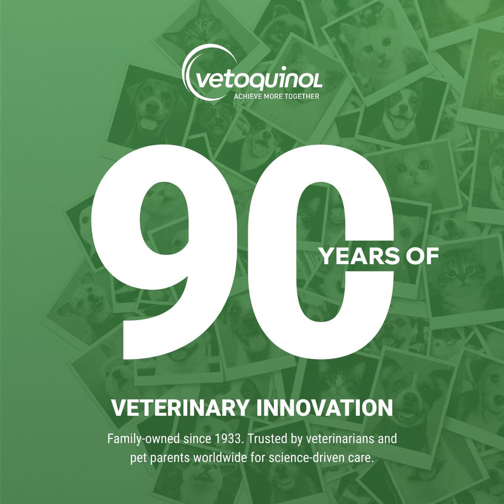 Vetoquinol Equalizer, Pet Carpet Cleaner and Stain Remover, 20 oz