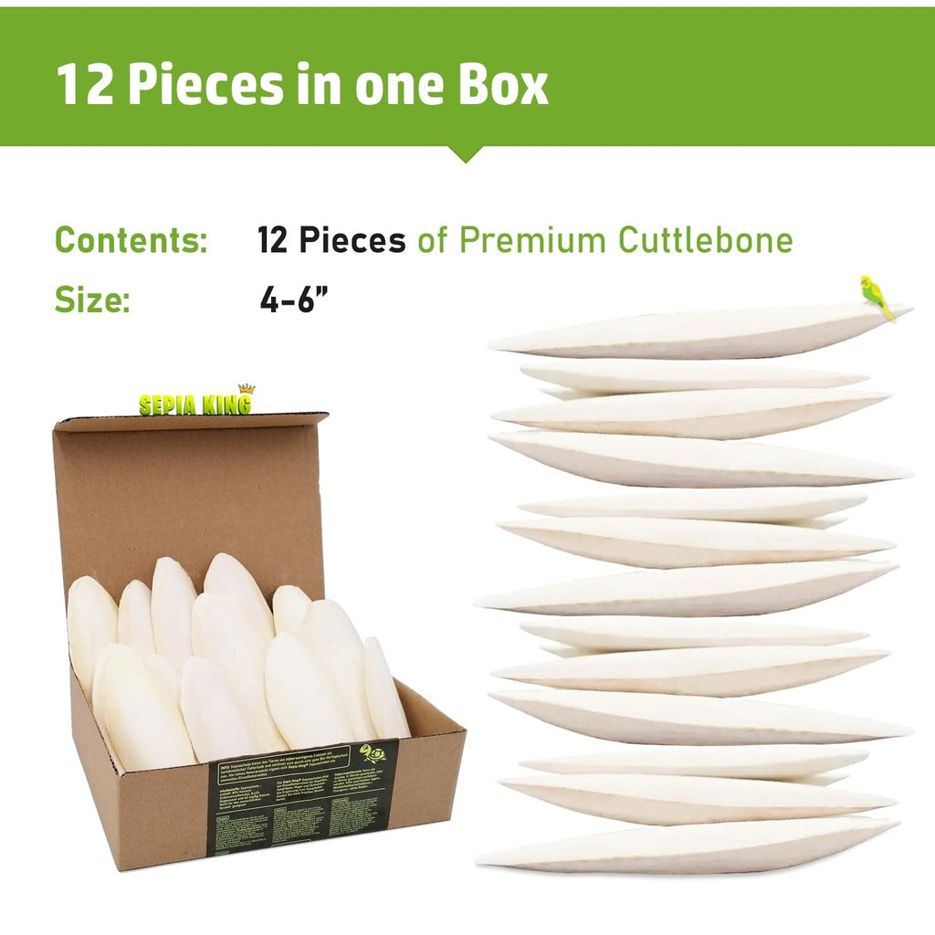 Sepia King - Medium - 100% Natural Calcium Supplement - Premium Cuttlebone Perfect for Birds, Tortoises, Snails, Reptiles - 12 Pack