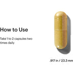 Buy now THORNE - Berberine - Dual Action Formula with Phytosome Plus Botanical Extract - Support Heart Health, Immune System, Healthy GI, Cholesterol* - Gluten-Free, Dairy-Free - 60 Capsules - 30 Servings at indiglob india