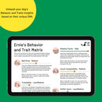 DNA MY DOG - Dog DNA Test Kit | 350+ Breeds Identified | 99%+ Accuracy | Allergy Risk Score | Personality & Behavior Insights | Results in 2-3 Weeks |