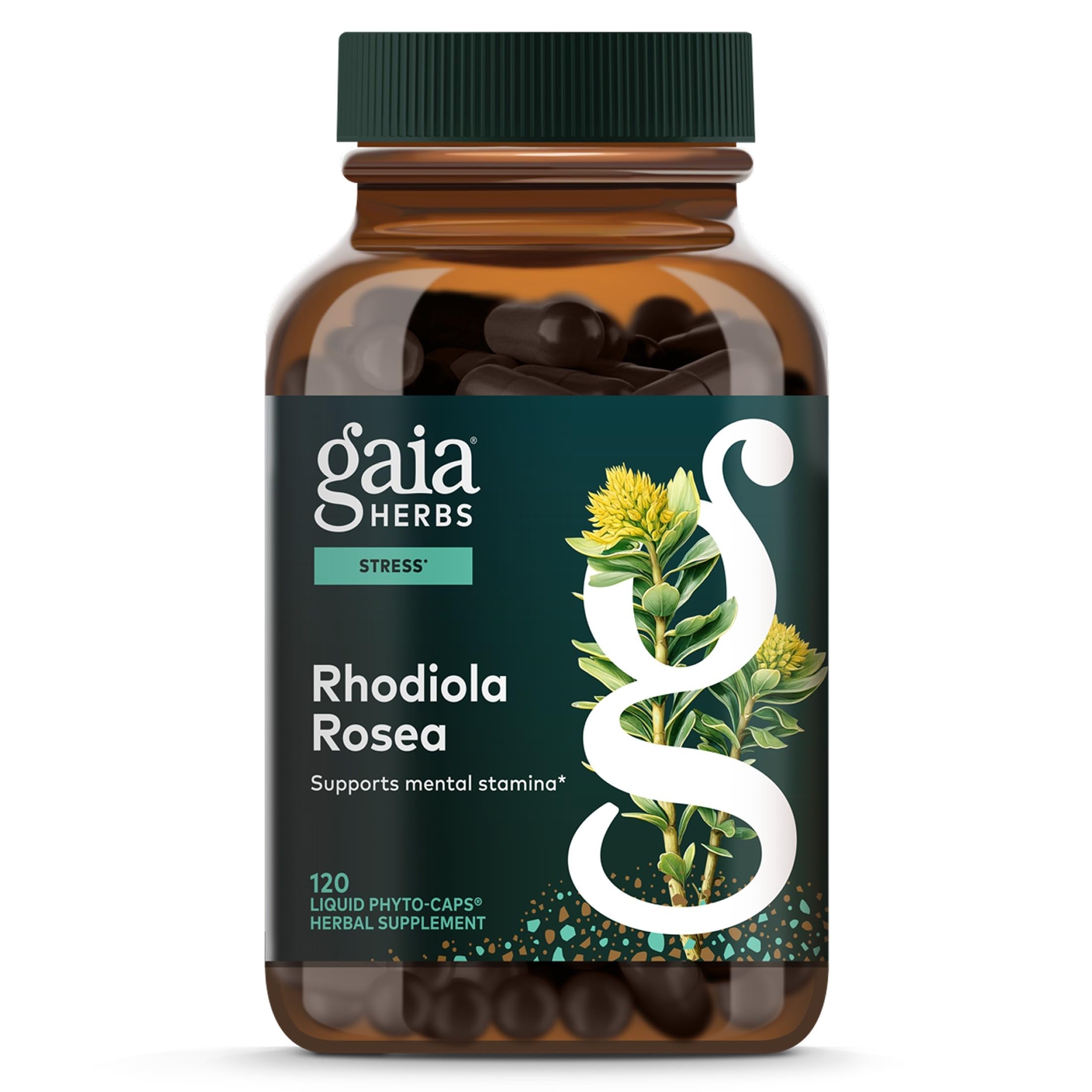 Gaia Herbs Rhodiola Rosea - Stress Support Supplement Traditionally for Supporting Healthy Stamina & Endurance* - with Siberian Rhodiola Root Extract - 60 Vegan Liquid Phyto-Caps (60 Servings)