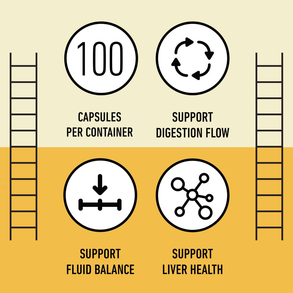 CNP | Dandelion Root Capsules 600mg - Liver Detox, Digestive Cleanse Aid