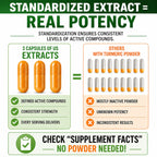 Turmeric Boswellia Extract Supplement 2000 mg – Extra Strength Boswellia Serrata with Turmeric Curcumin - 95% Curcuminoids with Boswellia Extract Capsules - Standardized High Potency - Made in USA