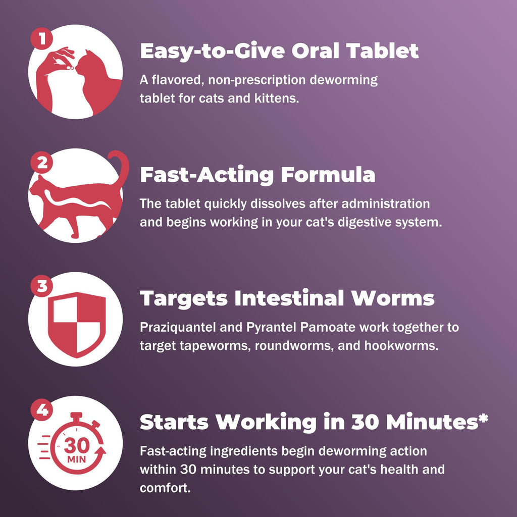 Broad-Spectrum Dewormer for Cats & Dogs | Praziquantel + Pyrantel Pamoate | Controls Tapeworms, Roundworms & Hookworms | 12 Flavored Tablets
