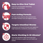 Broad-Spectrum Dewormer for Cats & Dogs | Praziquantel + Pyrantel Pamoate | Controls Tapeworms, Roundworms & Hookworms | 12 Flavored Tablets