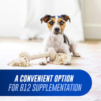 Nutramax Cobalequin B12 for Dogs and Cats, Oral Cobalamin Supplement with Folate, Vitamin B12 for Dogs Under 22 lbs. and Cats, Supports GI Health, Chewable Tablets, 45 Count (Pack of 2)
