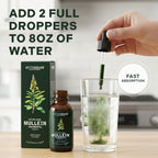Betterbrand Mullein Drops, Alchohol-Free Lung Detox with Chlorophyll | 30:1 Mullein Leaf Tincture, Lung Cleanse, Long-Term Lung & Respiratory Health, Mullein Drops Supplement, Improved Airflow