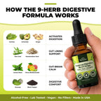 Serene Herbs Soursop Digestive Reset Drops 2 fl oz – Tropical Soursop & Lime Liquid Supplement – Supports Digestion