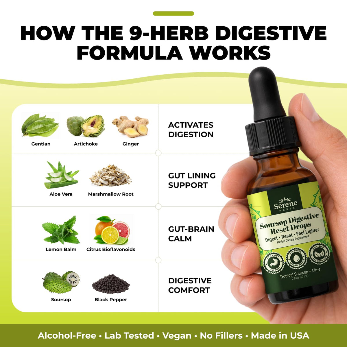 Serene Herbs Soursop Digestive Reset Drops 2 fl oz – Tropical Soursop & Lime Liquid Supplement – Supports Digestion