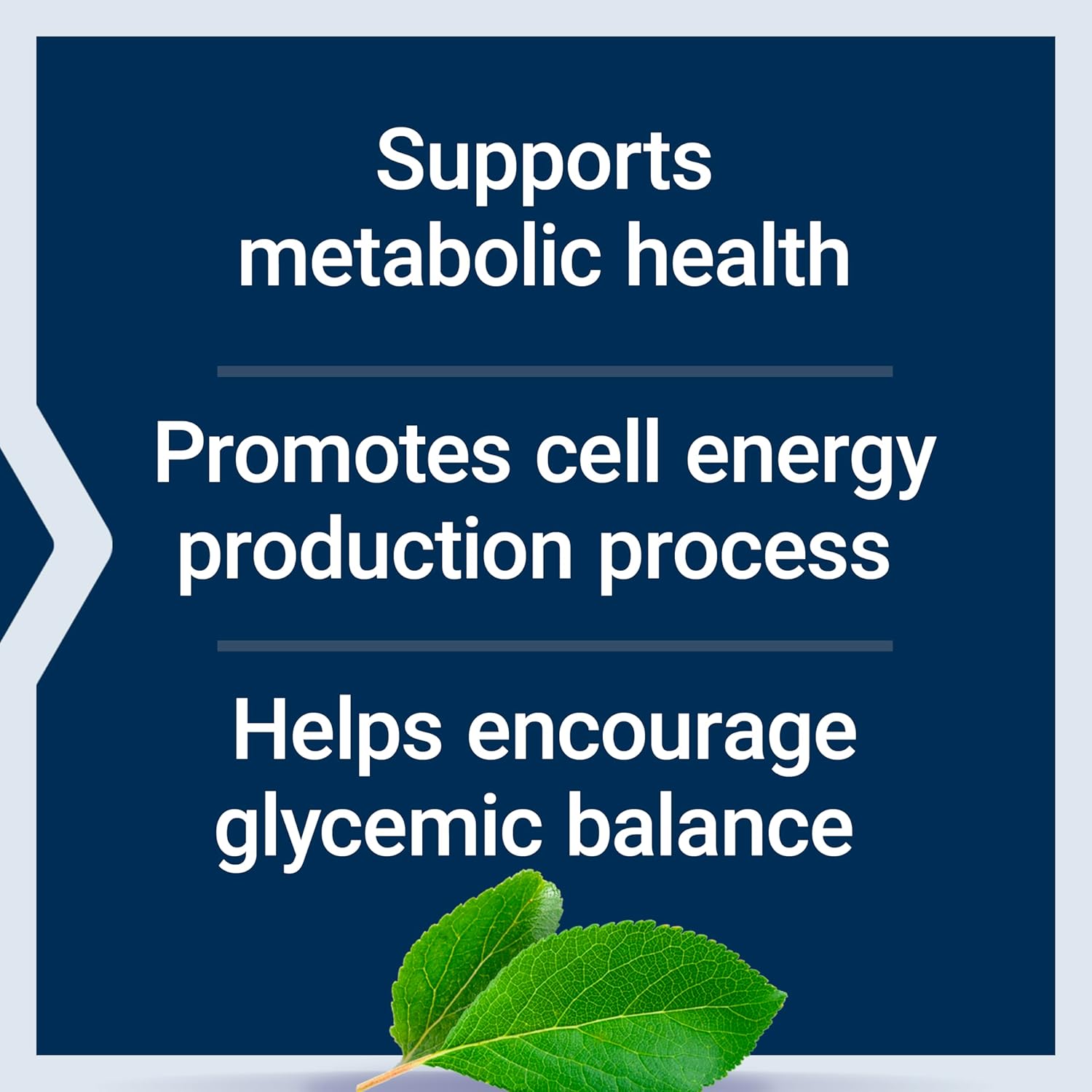 Buy now Life Extension Vanadyl Sulfate, Trace Mineral, Vanadium, Healthy glycemic Balance, Healthy Metabolism, Hormone Function, Gluten-Free, Non-GMO, Vegetarian â€“ 100 Tablets at indiglob india
