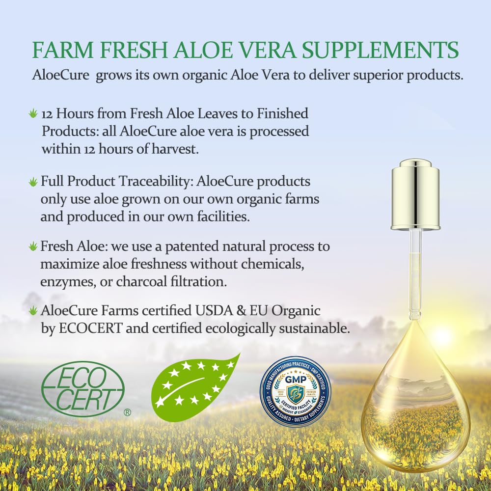Aloe Vera Capsules for Gut Health & Digestive Comfort 60ct x 300mg | Gently Support Gut Health & Digestive Comfort. Vegan, non-GMO Aloe leaf extract. Aloin Free Naturally Support Immune Health