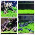 Buy now Aquarium Plant S.e,e,ds. not Fish Tank Aritificial Plastic Plant,10gram Mini-Leaf+8grame Long Hair Grass Fresh Water Carpet Decor at indiglob india