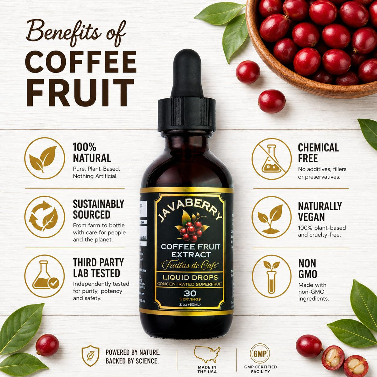 Whole Coffee Fruit Extract – Brain, Focus & Memory Support with BDNF | Low-Caffeine Coffee Cherry Superfruit Concentrate | Polyphenols & Antioxidants, Sugar-Free | 60mL Liquid