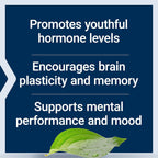Buy now Life Extension Pregnenolone - Hormone Balance Supplement for Healthy Hormone Levels, 100 mg - Hormone Balance, Memory, Focus, Cognitive Health - Gluten-Free, Non-GMO, 100 Capsules at indiglob india