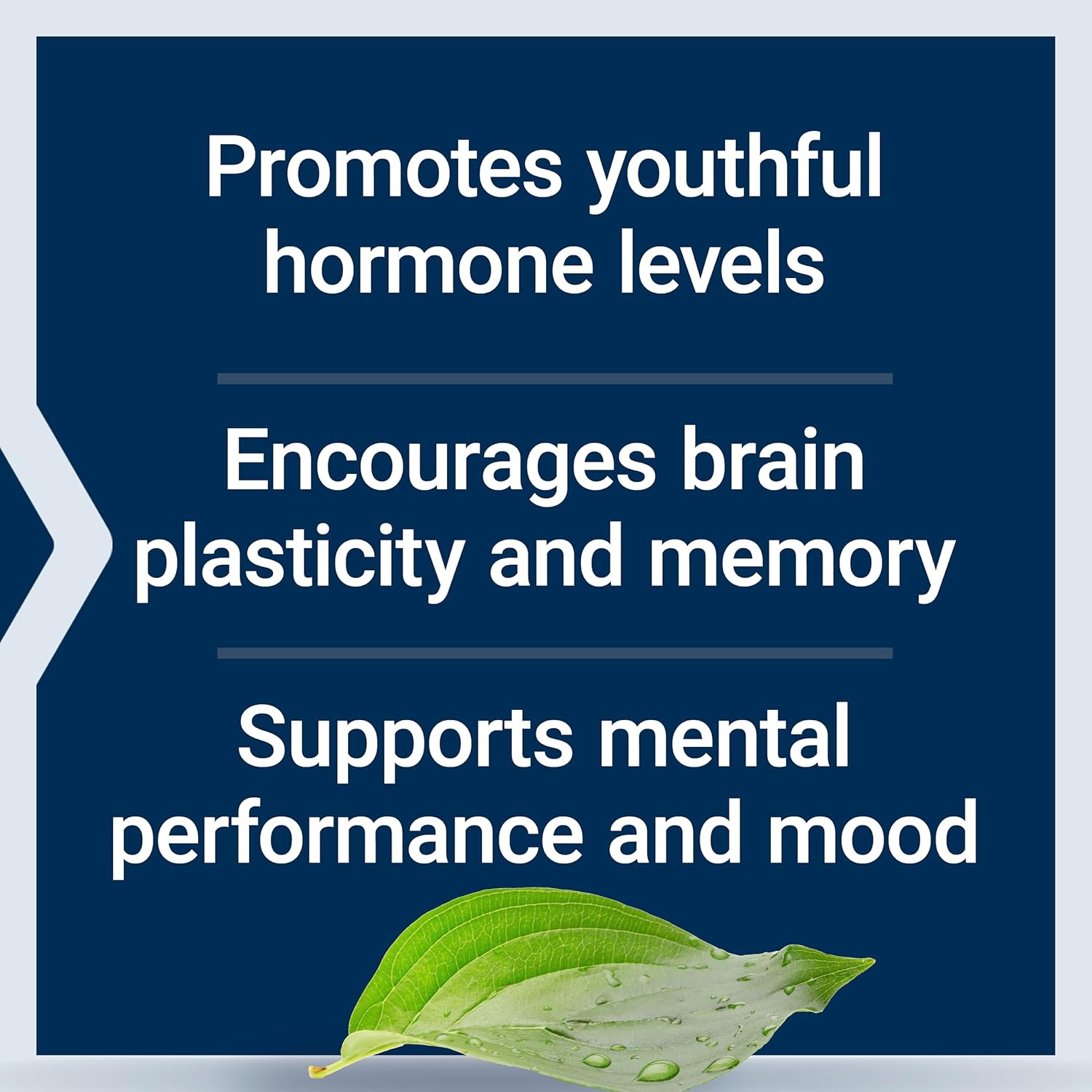 Buy now Life Extension Pregnenolone - Hormone Balance Supplement for Healthy Hormone Levels, 100 mg - Hormone Balance, Memory, Focus, Cognitive Health - Gluten-Free, Non-GMO, 100 Capsules at indiglob india