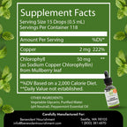 Benevolent Nourishment Chlorophyll Supplement, Detox & Immune Support, Internal Deodorizer, Liquid Drops | Highly Absorbable Supplement for Energy Support, Immune Wellness, Natural Cleansing, 4 Month Supply