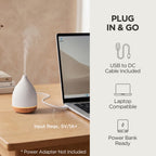 InnoGear 100ml Essential Oil Diffuser for Home Aroma Scent Small Humidifier