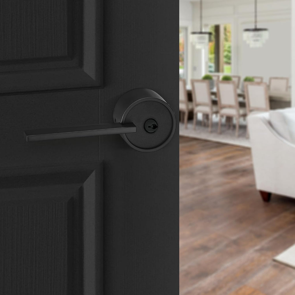 Buy now Berlin Modisch Zero Gravity Urban Series Dummy Lever Door Handle Pack of 2 Non-Turning Single Side Pull Only Lever Set [for Closet or French Doors] Heavy Duty – Iron Black Finish at indiglob india