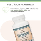 Berberine HCl 500mg, 97% Purity, Metabolic, 60 Capsules | Metabolism Supplement, AMPK Activator, Appetite + Hormonal Balance Support, 97% Purity, Third-Party Tested