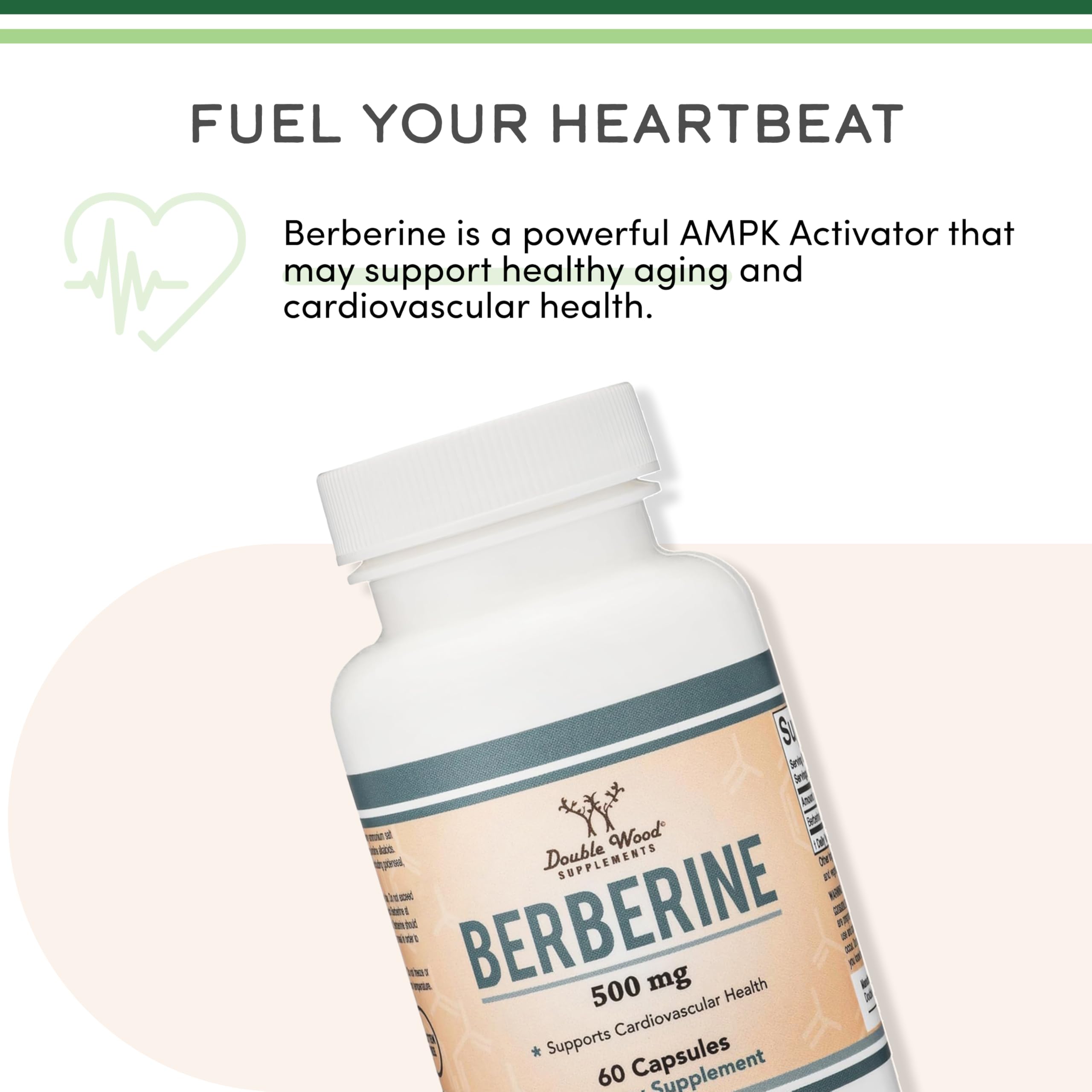 Berberine HCl 500mg, 97% Purity, Metabolic, 60 Capsules | Metabolism Supplement, AMPK Activator, Appetite + Hormonal Balance Support, 97% Purity, Third-Party Tested